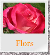 Flors