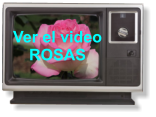 Ver el video ROSAS
